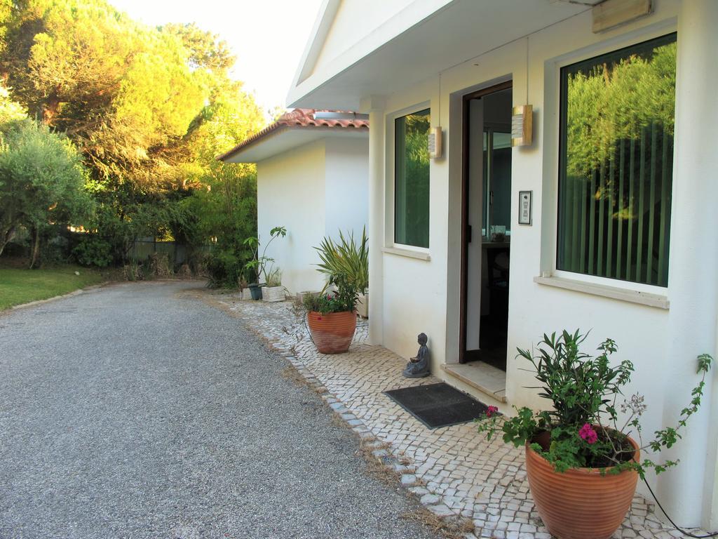 Casa Branca Guest House フォス・ド・アレーリョ エクステリア 写真