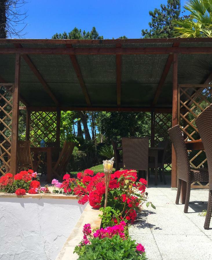 Casa Branca Guest House フォス・ド・アレーリョ エクステリア 写真